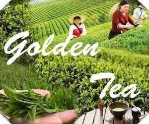  “Golden tea” –      